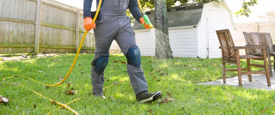 Man spraying liquid fertilizer on green grass in New Smyrna Beach, FL.
