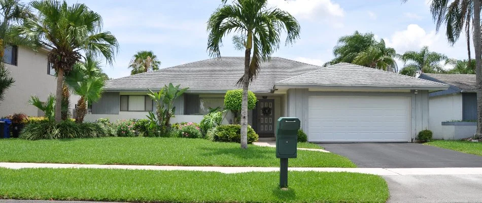 Manicured lawn with palm trees on a property in New Smyrna Beach, FL.
