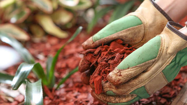 Leafy Landscapes Mulch Installation Service