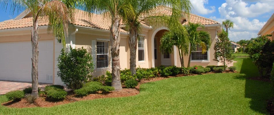 Side yard with green grass and palm trees on a property in Florida.