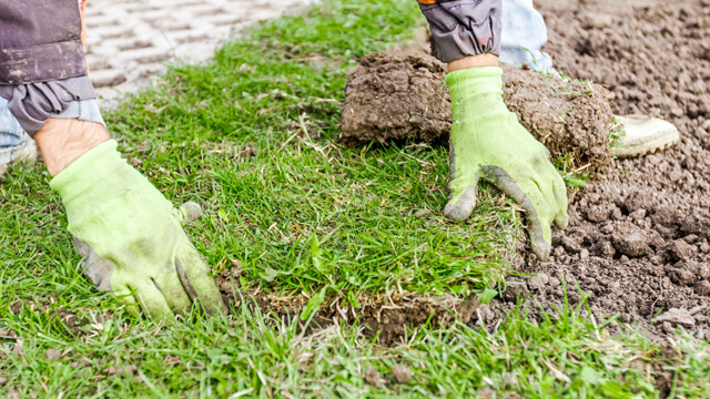 Leafy Landscapes Sod Installation Service