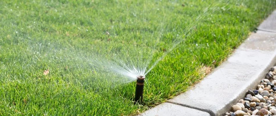 Irrigation system spraying near curb in New Smyrna Beach, FL.