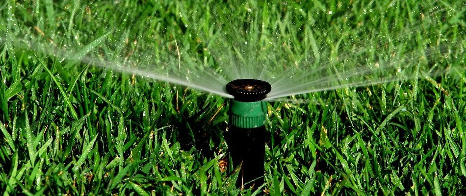Sprinkler head watering green grass in New Smyrna Beach, FL.