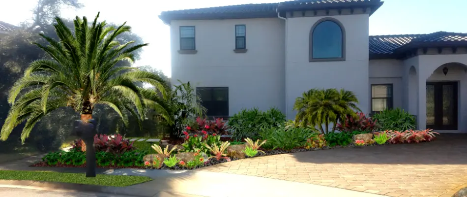 Various plants in front of a home in New Smyrna Beach, FL, area.