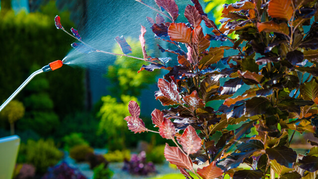 Leafy Landscapes Weed Control Service