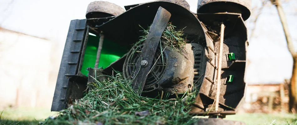 Wet grass clogging a mower in New Smyrna Beach, FL.