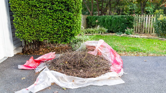 Leafy Landscapes Yard Cleanup Service